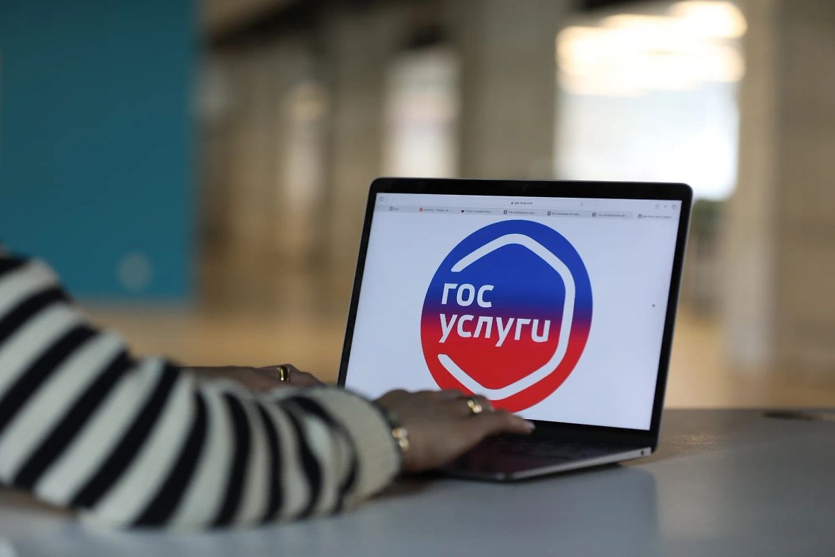 Самозапрет на «Госуслугах» установили 10 млн россиян. Обложка © Life.ru