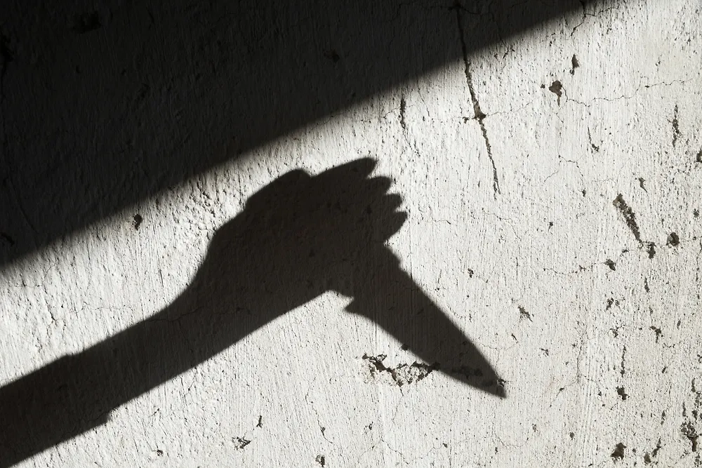 Обложка © Shutterstock / FOTODOM / rootstock