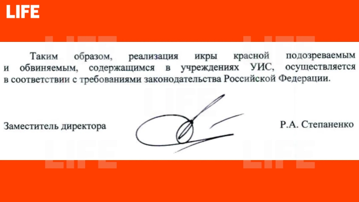 Скриншот © Life.ru