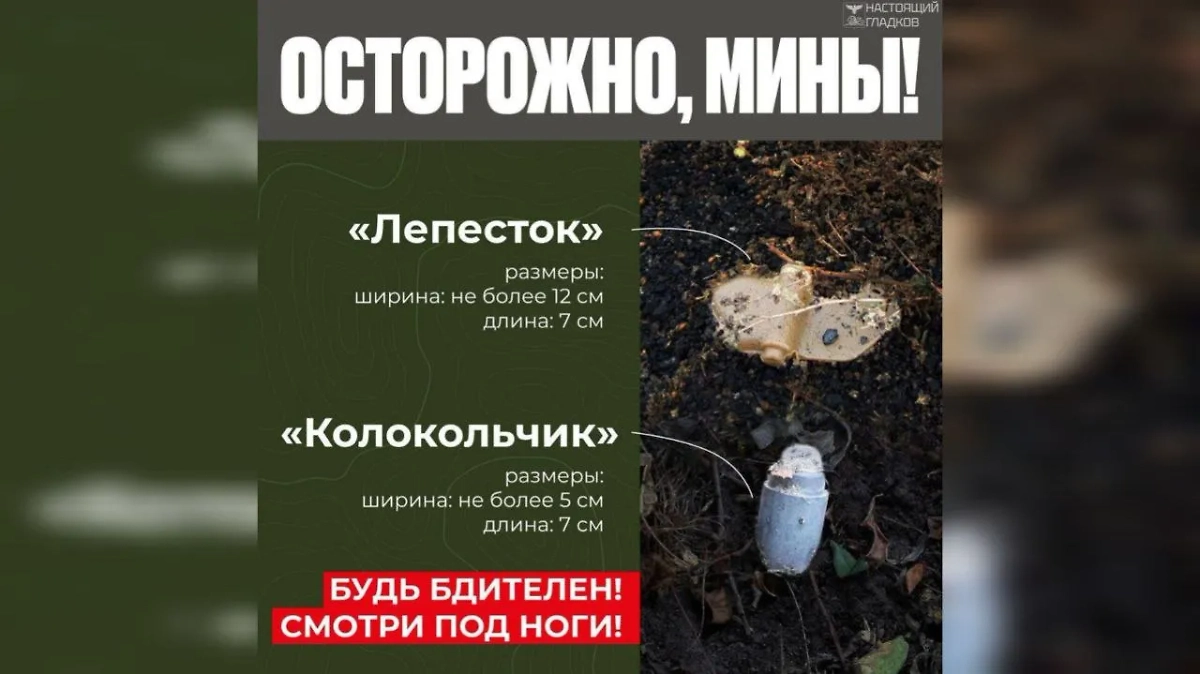Виды мин, которые в приграничье разбрасывают ВСУ. Фото © Telegram/Настоящий Гладков