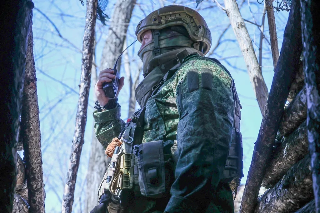 Обложка © ТАСС / Алексей Коновалов