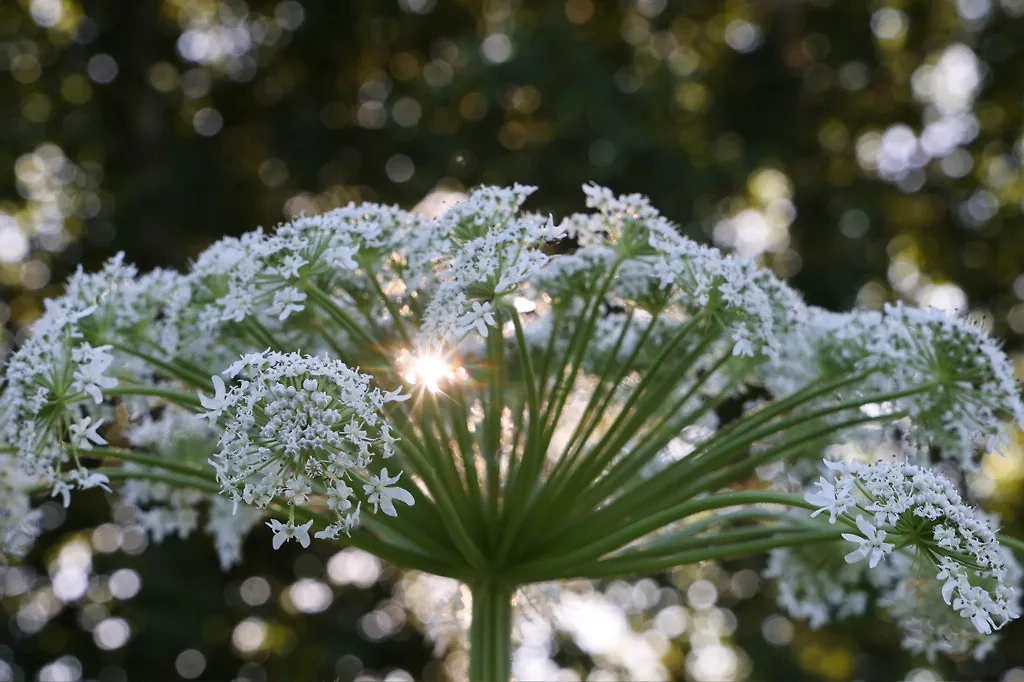 Обложка © ТАСС / Владимир Гердо