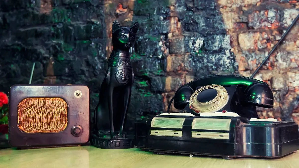 Египетская станция, которая передаёт восточную музыку. Верблюды, дервиши, песок, традиционные песнопения — что плохого? Оказывается, есть у станции и тёмная сторона. Фото © Shutterstock / FOTODOM / Yuriy Bartenev