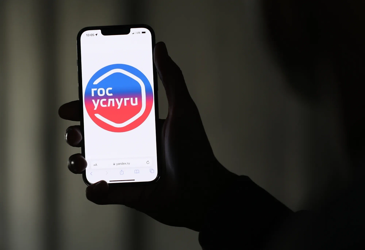 Мошенники нашли новый способ взломать «Госуслуги». Обложка © Life.ru