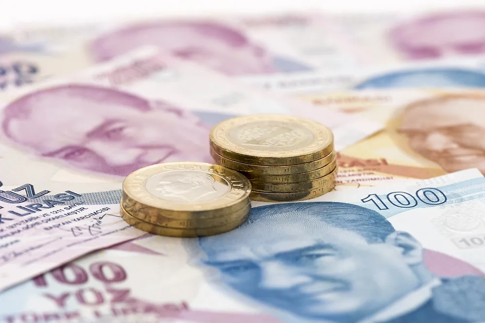 Турецкие лиры. Обложка © Shutterstock / FOTODOM / gd_project