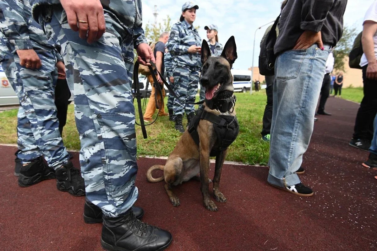 Обложка © Life.ru