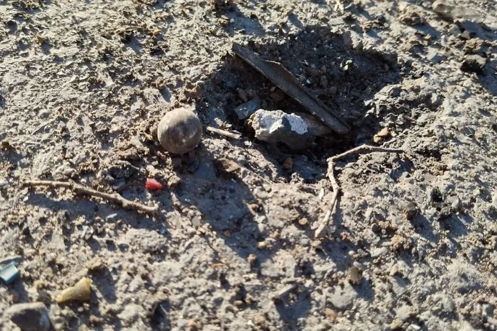 Стальной шарик из заряда, который нёс дрон ВСУ, атаковавший многоэтажку в Курске. Фото © Telegram / Курская область