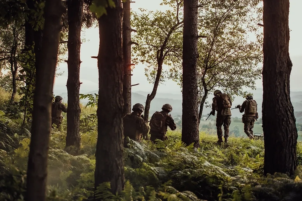 Военнослужащие. Обложка © Shutterstock / FOTODOM / dotshock