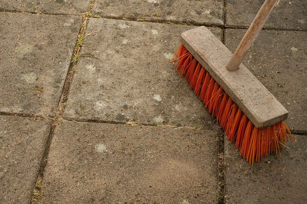 Обложка © Shutterstock / FOTODOM / Stig Alenas