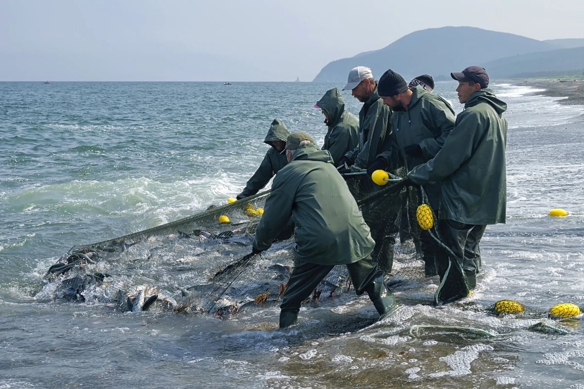 Фото © Shutterstock / FOTODOM / Konstantin Baidin