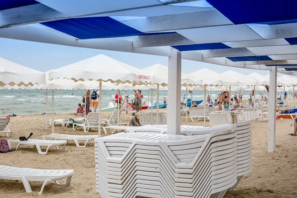 Обложка © Shutterstock / FOTODOM / kravik93