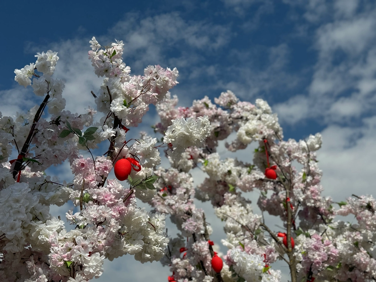 Обложка © Life.ru