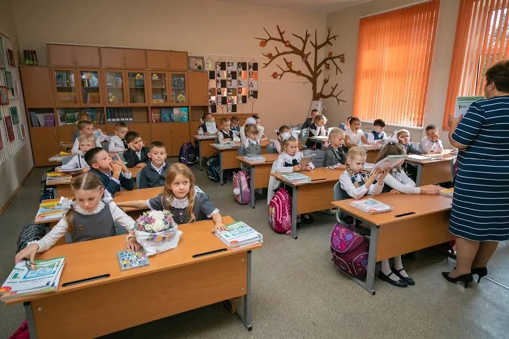 Урок в школе. Обложка © Shutterstock / FOTODOM / Yurich20