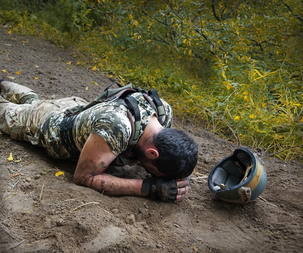 Обложка © Shutterstock / FOTODOM / ArtMari