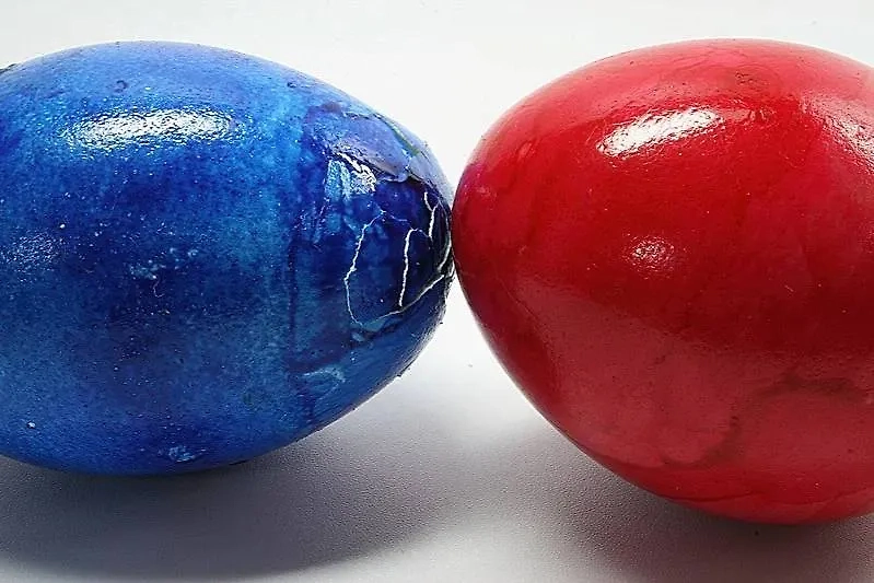 По словам эксперта, чаще выигрывают яйца меньшего размера. Фото © Wikipedia / Superbass