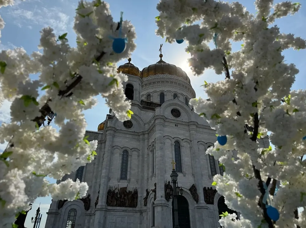 Путин призвал Киев присоединиться к пасхальному перемирию. Обложка © Life.ru