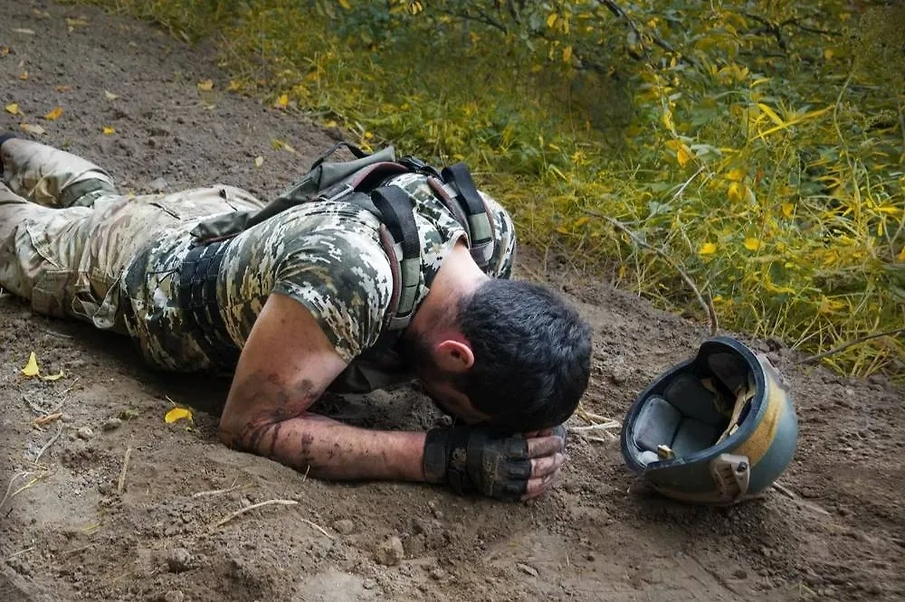 Обложка © Shutterstock / FOTODOM / ArtMari