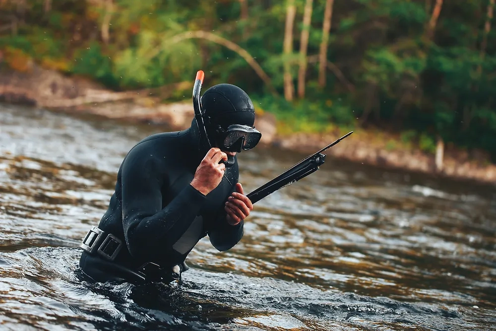 Обложка © Shutterstock / FOTODOM / E-leet