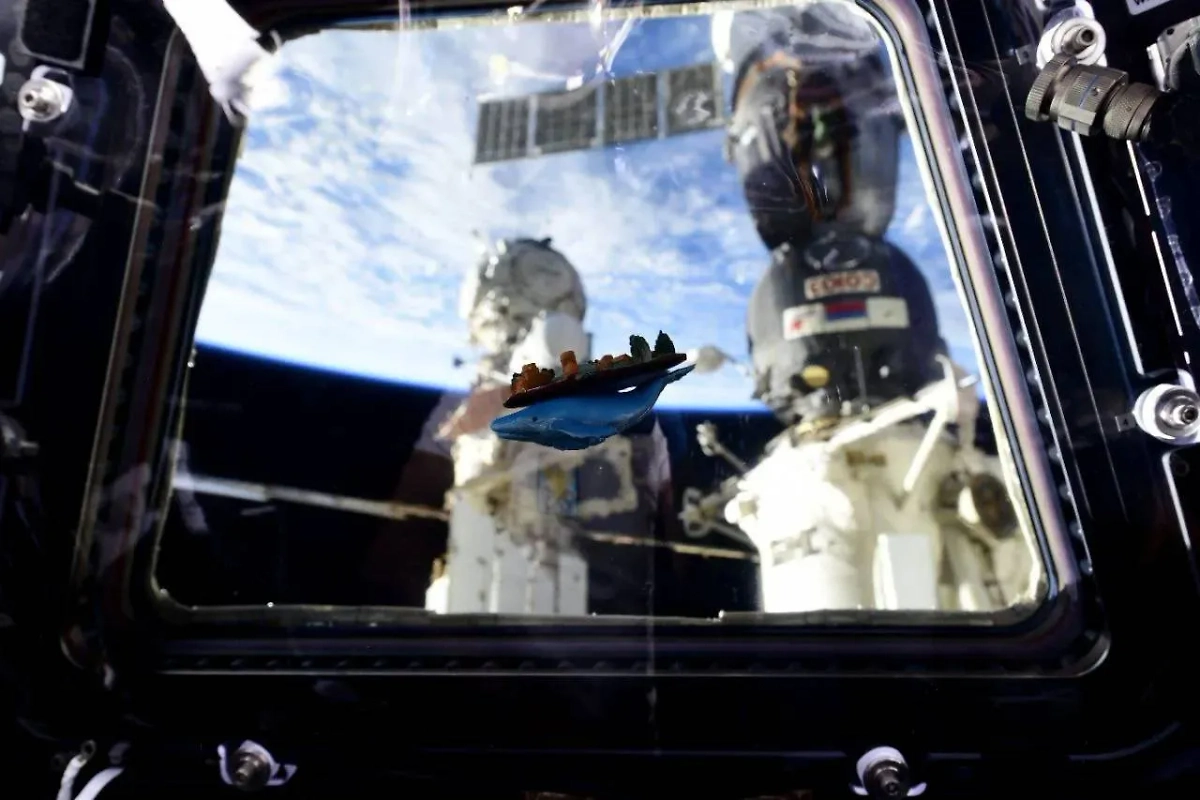 Статуэтка плоской Земли на МКС. Фото © Telegram / Космонавт Иван Вагнер