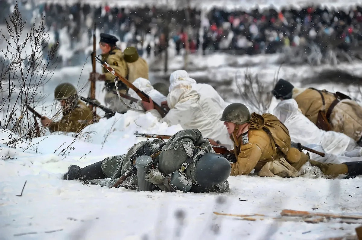 Обложка © Shutterstock / FOTODOM /Anna Krivitskaya