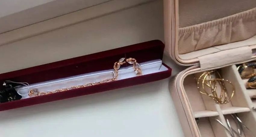 У ректора изъяли ценных вещи. Фото © VK / Управление МВД России по Псковской области