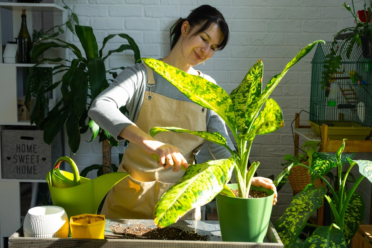 Как энергетика человека влияет на растения в доме. Фото © Shutterstock / FOTODOM / Simol1407