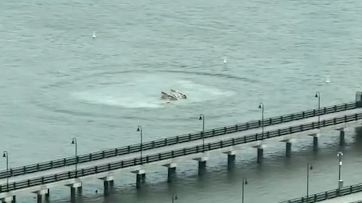 Вертолёт рухнул в реку в США. Обложка © X / Skott