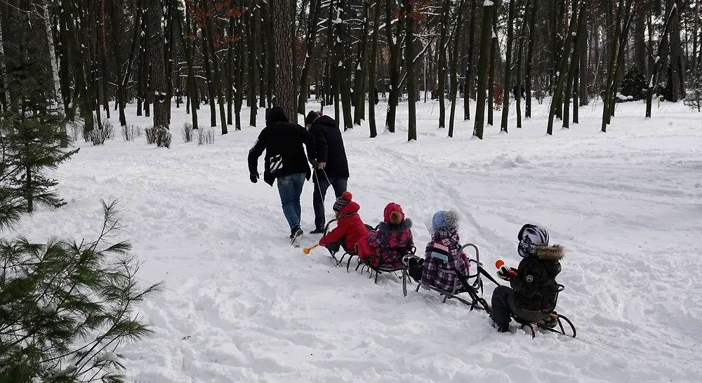 Многодетная семья (иллюстрация). Обложка © Shutterstock / FOTODOM / Blik Sergey