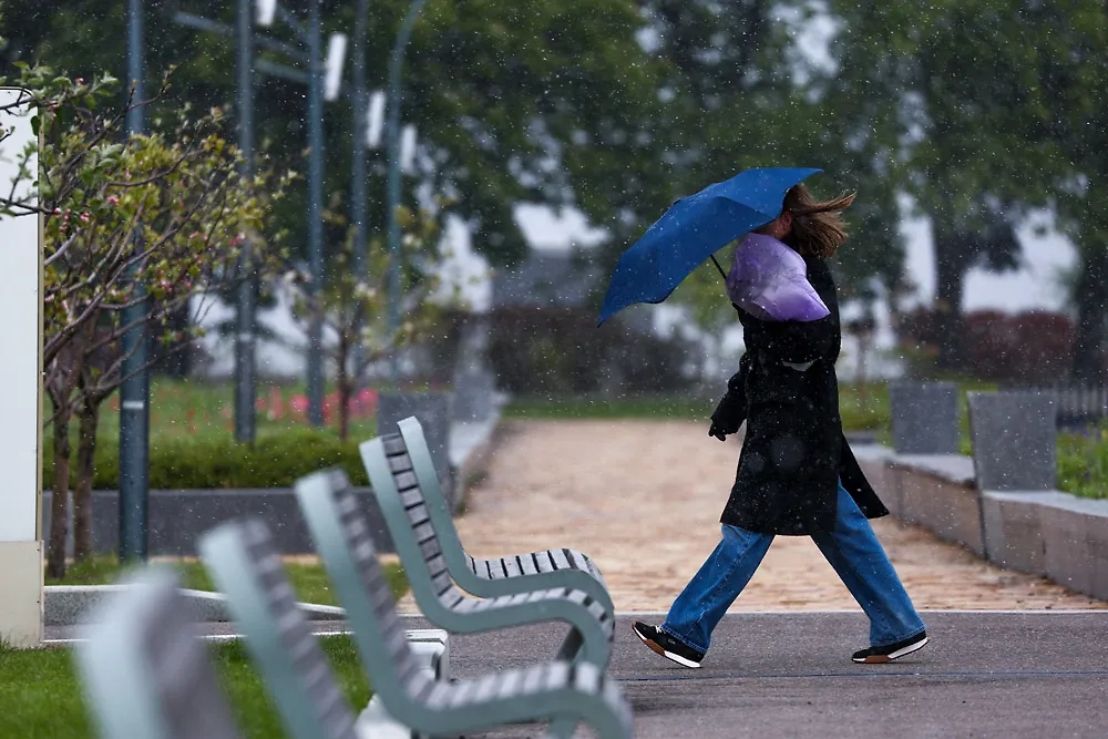 На вторые майские выходные возможен мокрый снег. Фото © ТАСС / Сергей Булкин