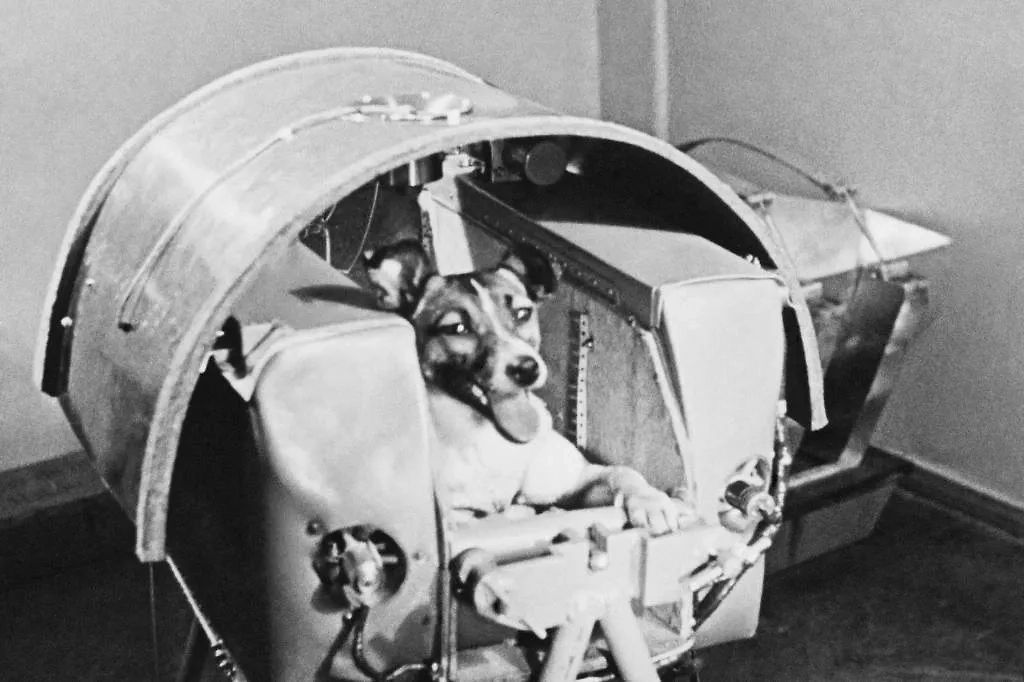 Иногда космос хранит в себе звуки животных, которые умерли там. Фото © ТАСС / Советский Союз