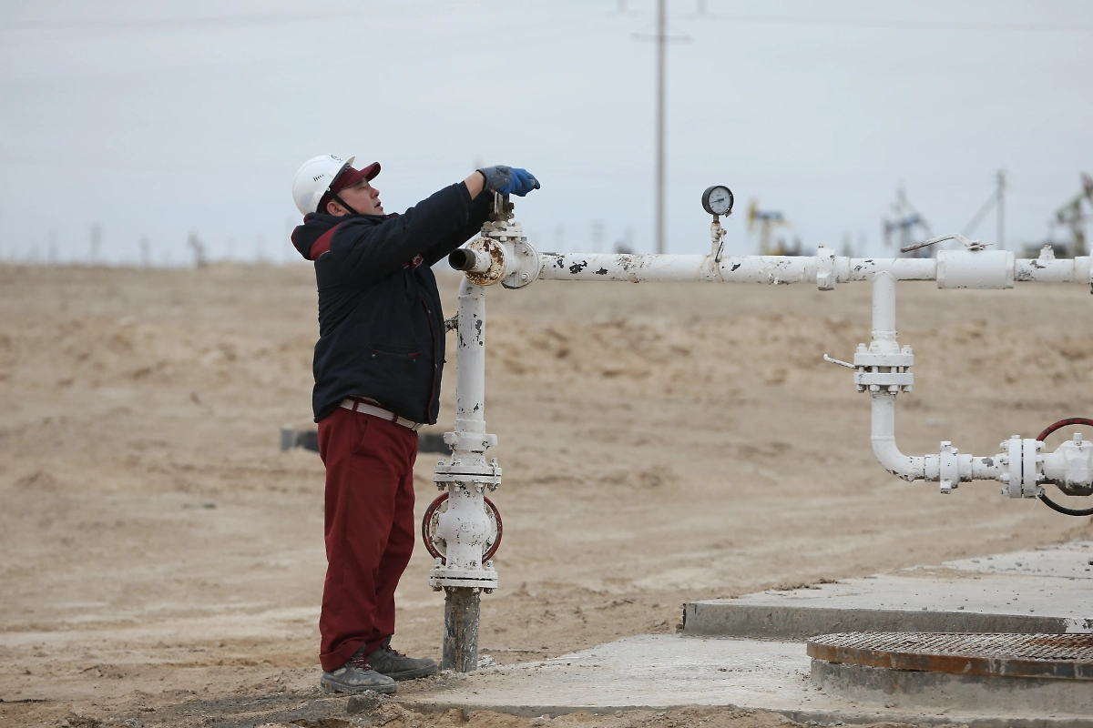 Обложка © Shutterstock / FOTODOM / Pavel Mikheyev