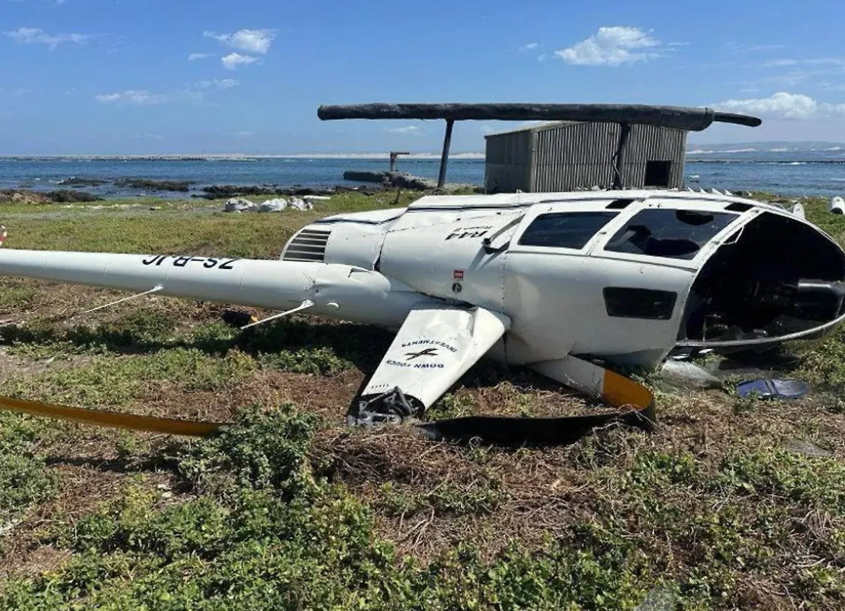 Пингвин стал причиной падения вертолёта в ЮАР. Фото © Х / odrimedia