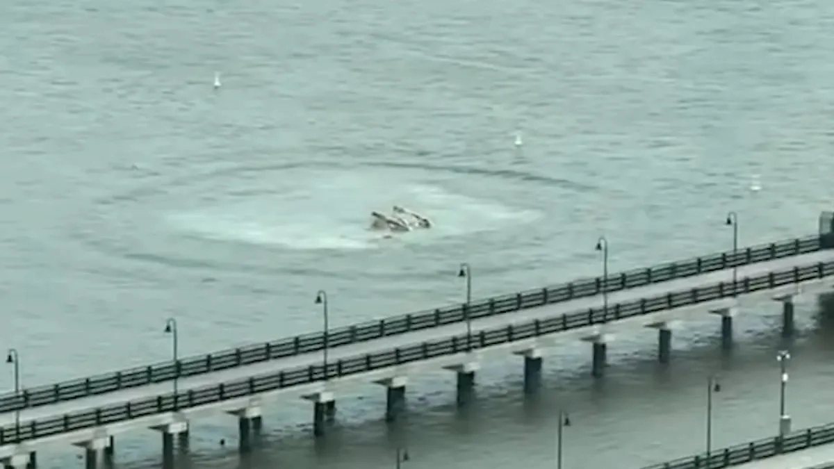 Вертолёт рухнул в реку в США. Обложка © X / Skott