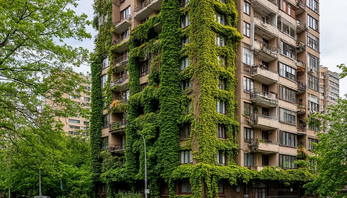 В России обнаружен опасный для зданий сорняк. (Иллюстрация) Обложка © Шедеврум / Life.ru