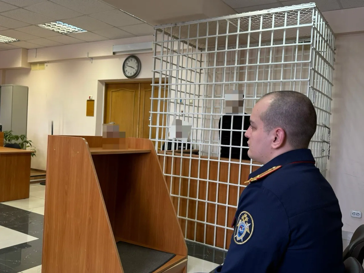 Вынесение приговора убийце. Фото © Telegram/СУ СК России по Камчатскому краю