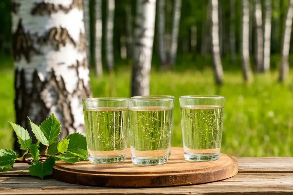 Берёзовый сок. Обложка © Шедеврум / Life.ru