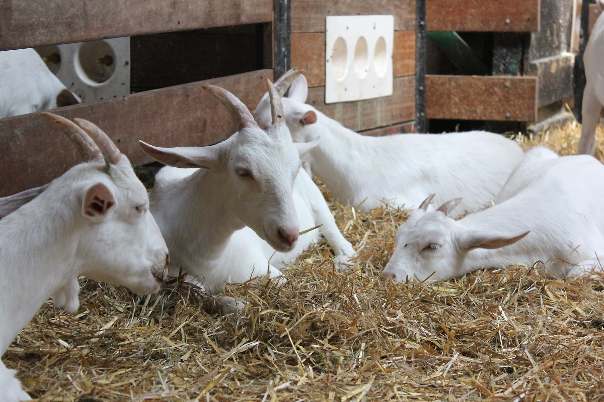 На Страстной вторник у нашего народа было много примет. Фото © Shutterstock / FOTODOM / Coral Mint Stock