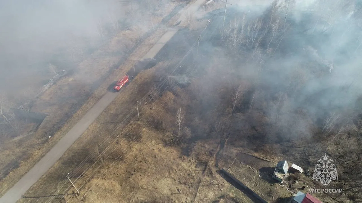 В одном из районов Алтайского края тушат ландшафтный пожар. Обложка © Telegram / МЧС Алтайского края