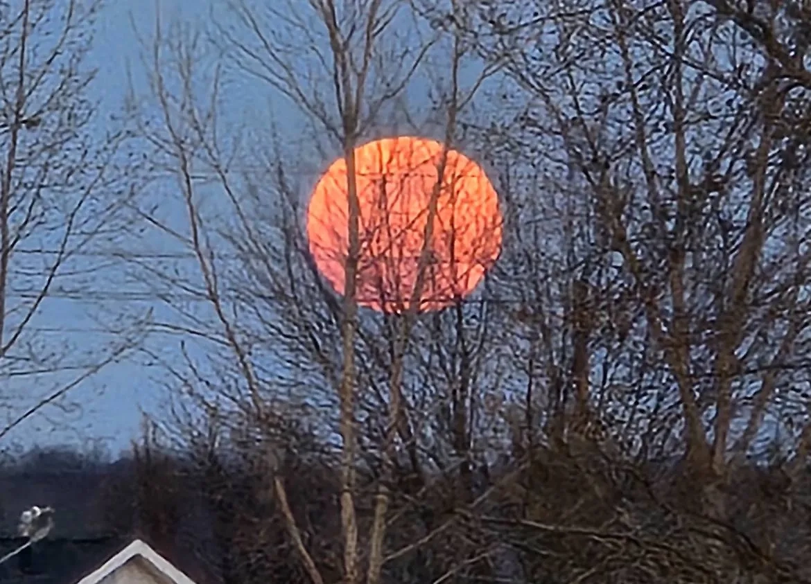 Розовая Луна в США. Обложка © Х / FryPeggy1