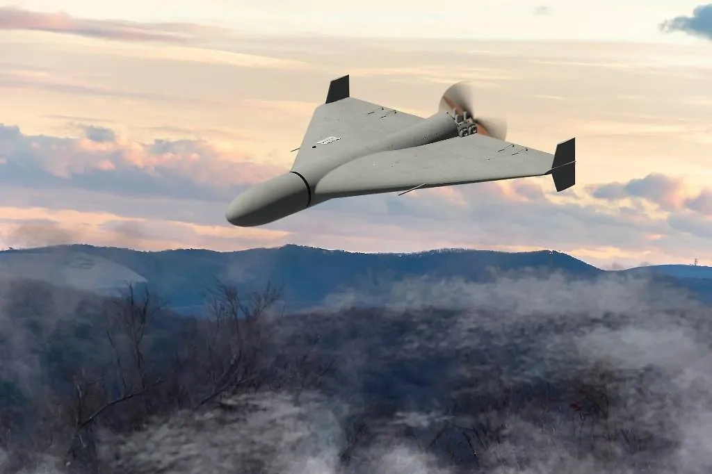 Обложка © Shutterstock / FOTODOM / Anelo