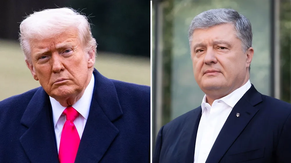 Дональд Трамп и Пётр Порошенко*.Обложка © Shutterstock / FOTODOM / Joshua Sukoff, Drop of Light