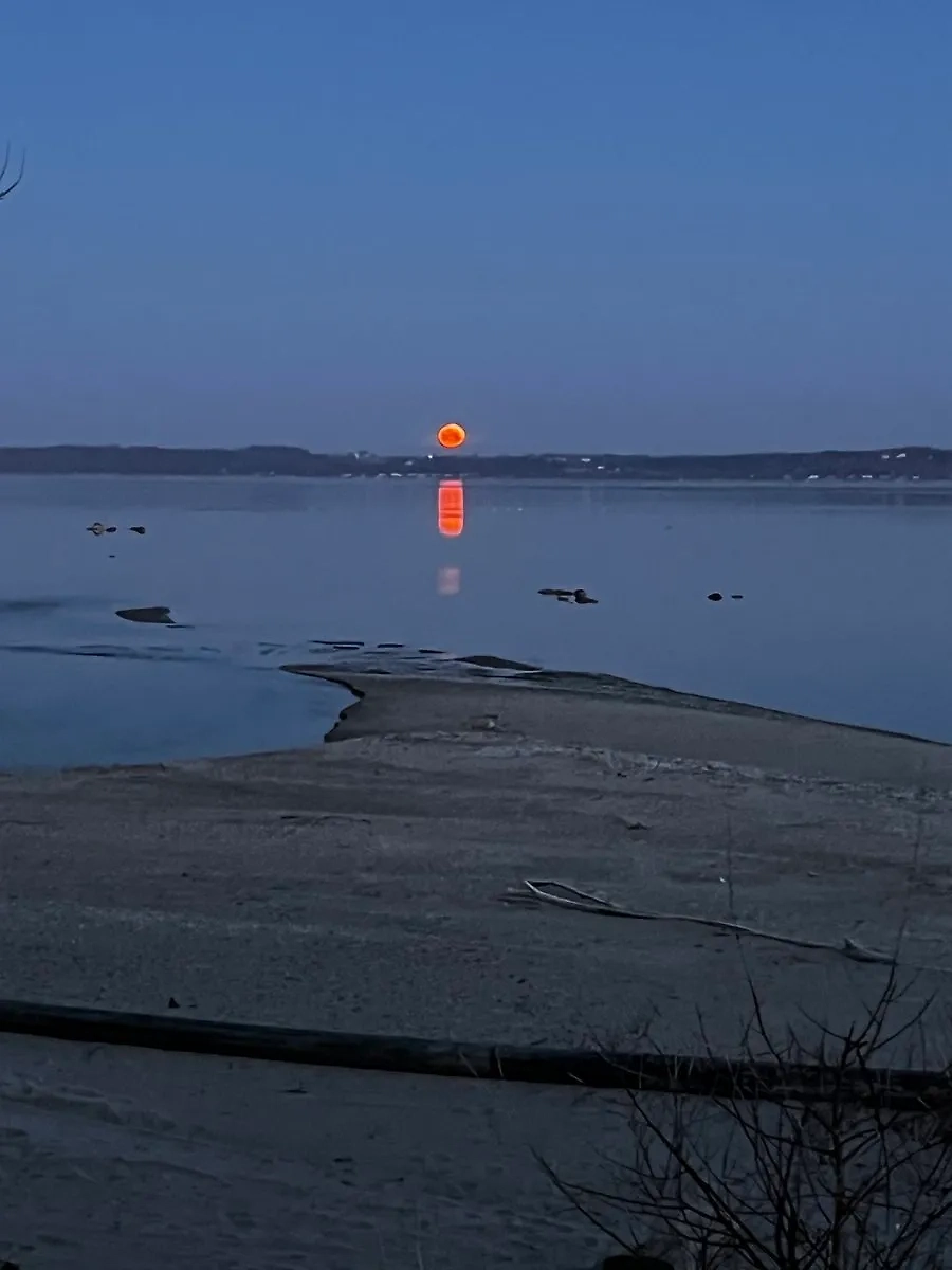 Розовая Луна в США. Фото © Х / elainalouisa