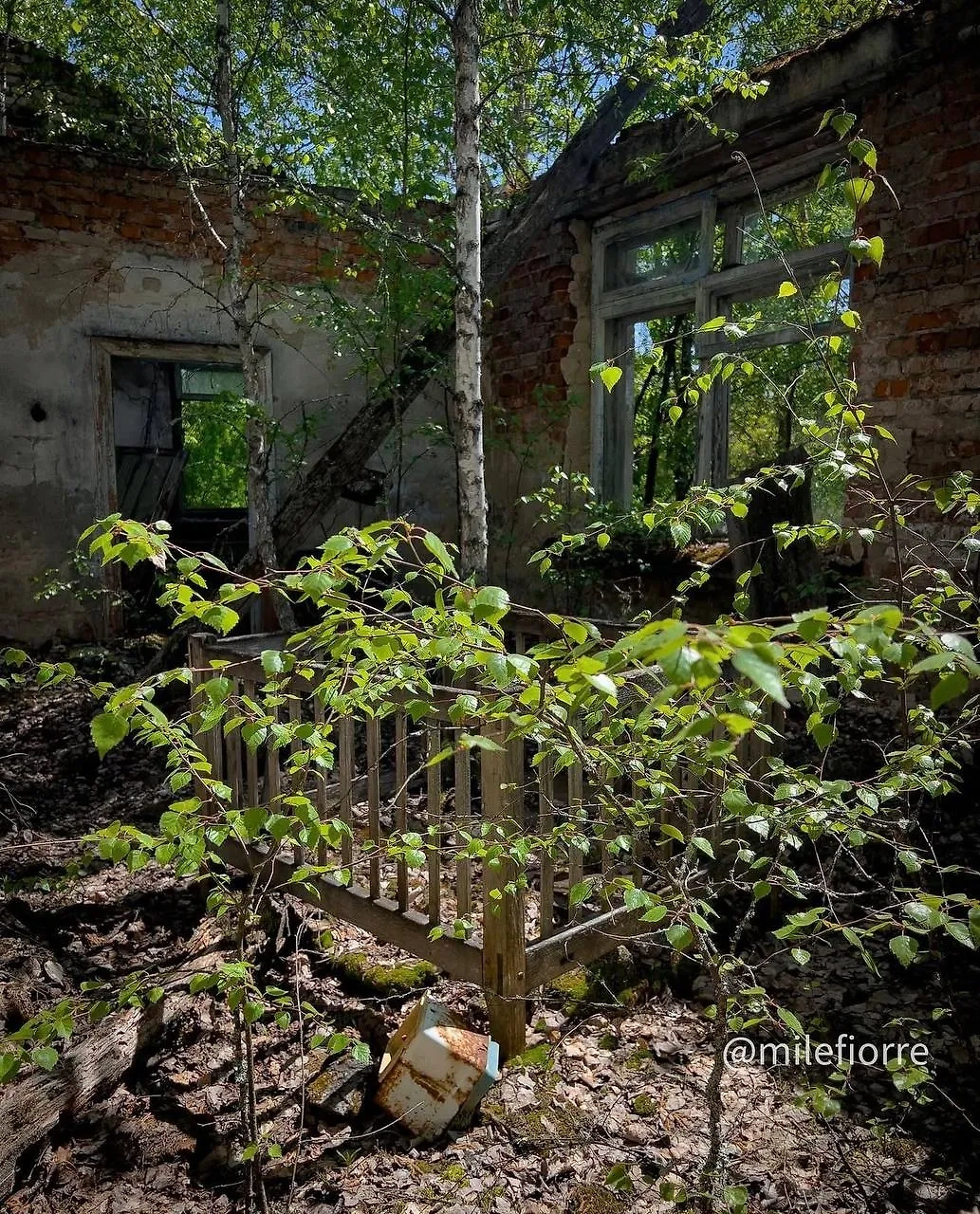 Фото © Instagram (признан экстремистской организацией и запрещён на территории Российской Федерации) / milefiorre