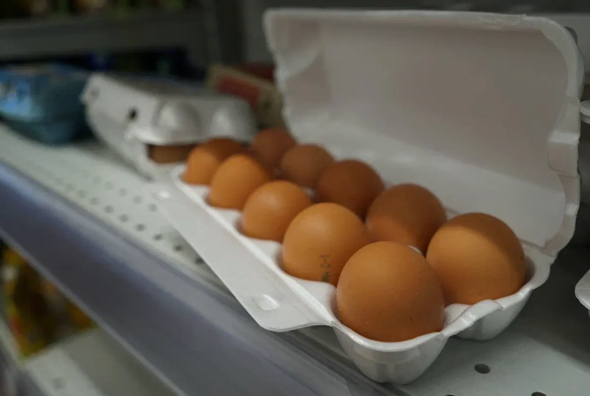 Обложка © Life.ru 