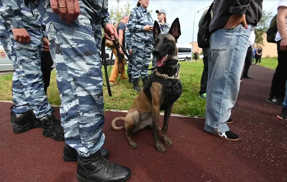 Выходцы из Средней Азии готовили теракт по заказу Киева.  Обложка © Life.ru