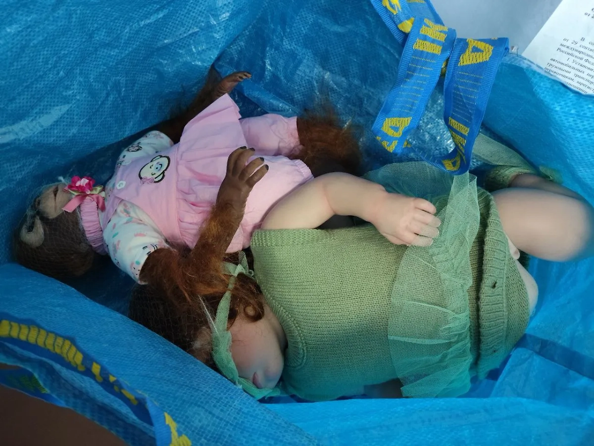 Игрушки, в которых нашли метадон. Обложка © Предоставлено Life.ru