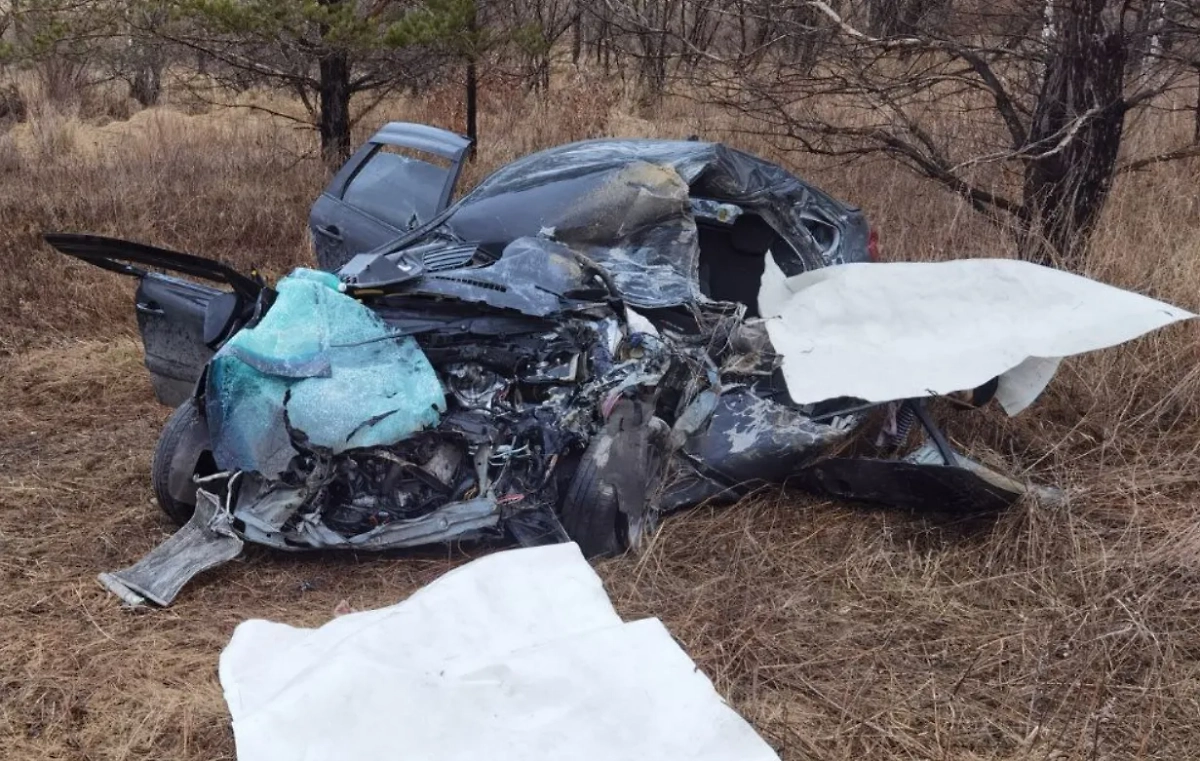 Три человека погибли в ДТП с грузовиком в Приамурье. Обложка © Telegram / Госавтоинспекция Амурской области