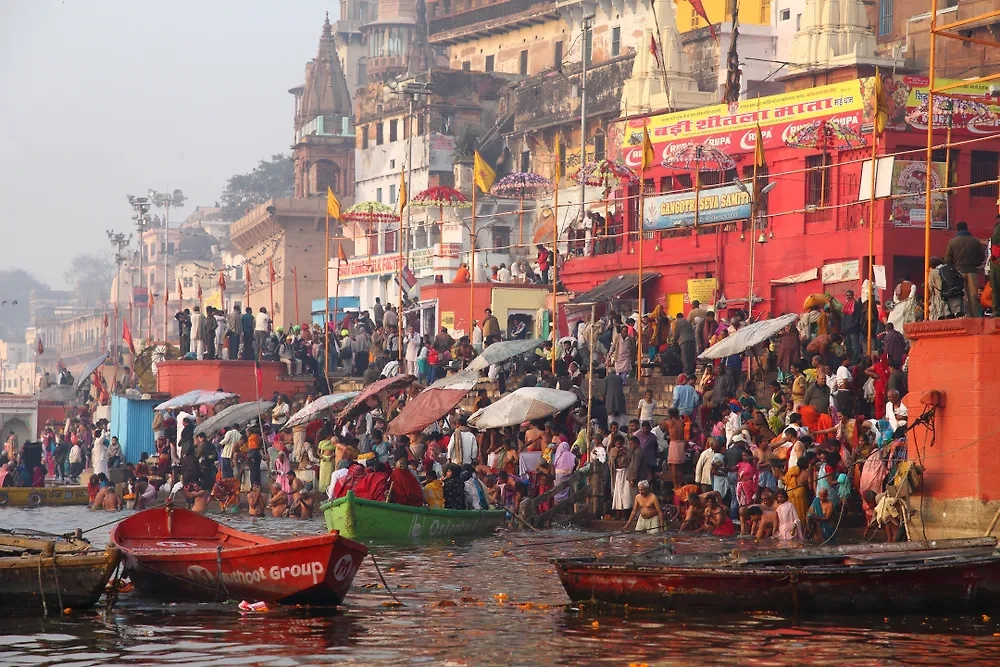 Индия. Обложка © Shutterstock / FOTODOM / yukihipo