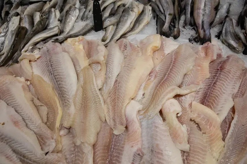 Замороженная рыба. Обложка © Life.ru