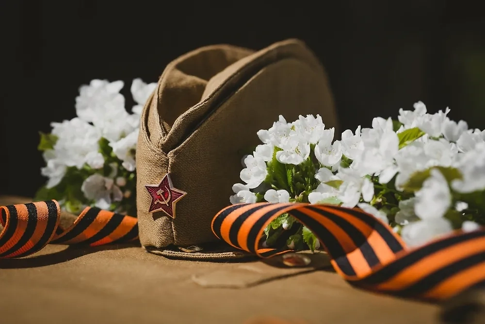 Обложка © Shutterstock / FOTODOM / PhotoJuli86